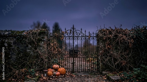 Iron  gate autumn Halloween Thanksgiving copy space spooky 