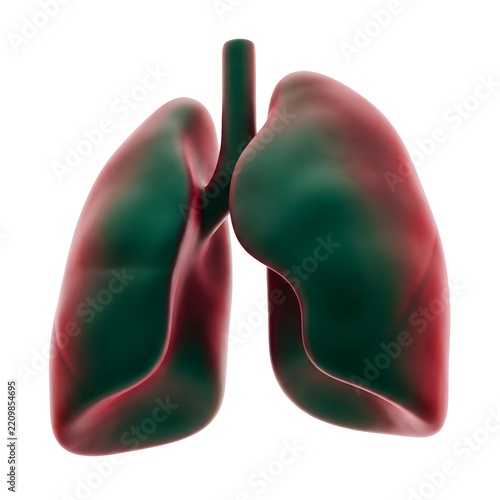 3D Clay Human Lungs Emerald Ruby Jewel Render