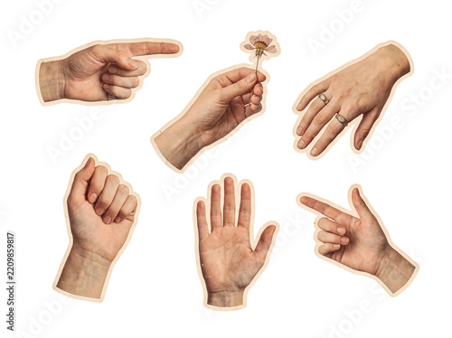 Female hands making diverse gestures and holding dried flower