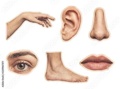 Various human body parts forming a collage on transparent background
