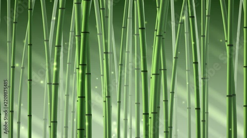 Tranquil Zen Bamboo Forest with Glowing Fireflies, Seamless Loop 4K