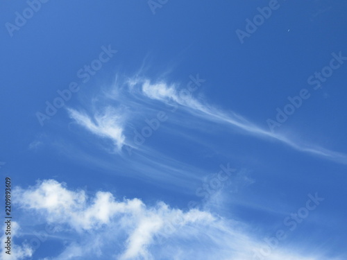 秋の空と白い雲