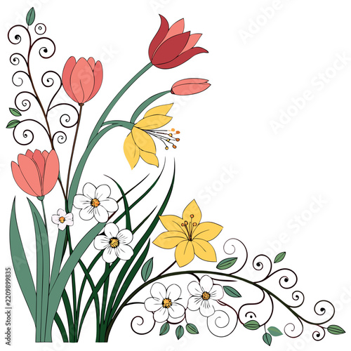 Spring flowers and borders isolated on white background