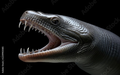 Aggressive Moray Eel with Open Mouth and Sharp Teeth Isolated Against a Black Background