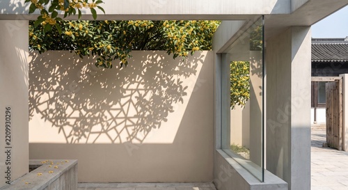 Geometric Shadow Patterns of Osmanthus Tree on Smooth Beige Wall in Minimalist Framing