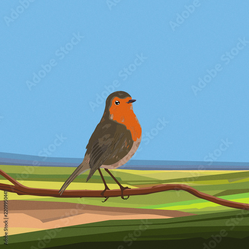 European robin bird perching on branch illustration
