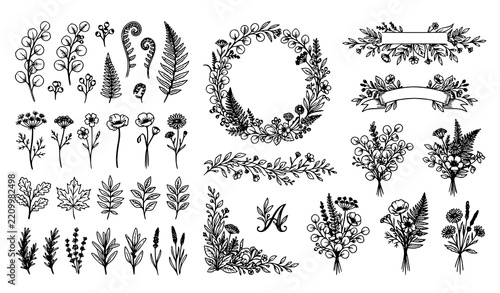 Elegant Hand Drawn Eucalyptus Fern and Wildflower Botanical Set