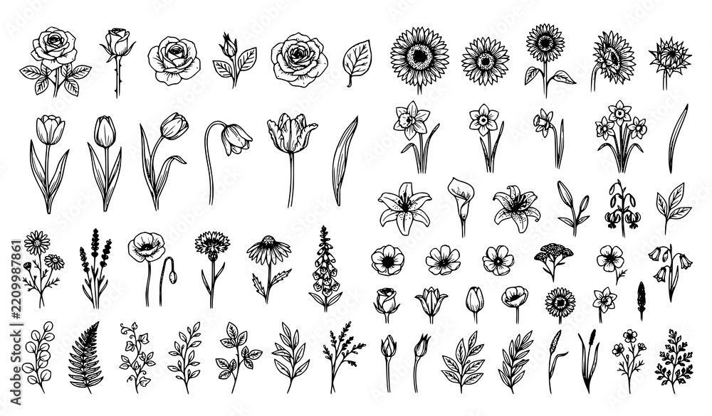 Obraz premium Hand Drawn Botanical Flowers and Garden Line Art Set
