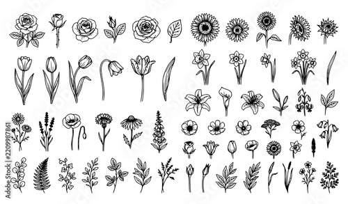Hand Drawn Botanical Flowers and Garden Line Art Set