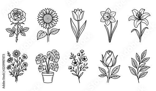 Garden Flowers Linear Outline Icon Set