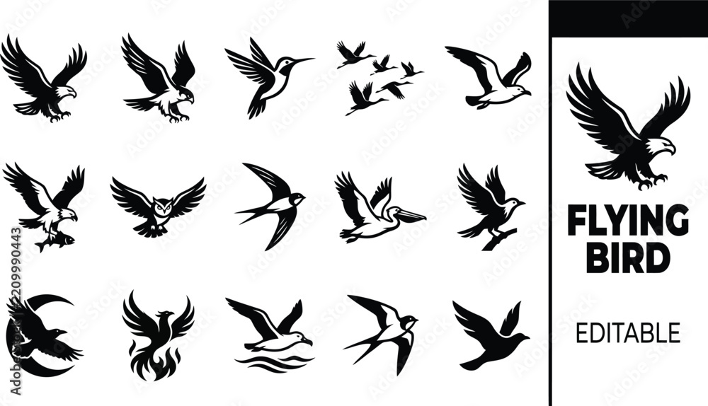 Fototapeta premium Set of black silhouette featuring various flying birds, including eagles, hawks, and other avian species on a white background