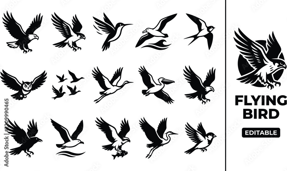 Obraz premium Set of black silhouette featuring various flying birds, including eagles, owls, and other avian species on a white background