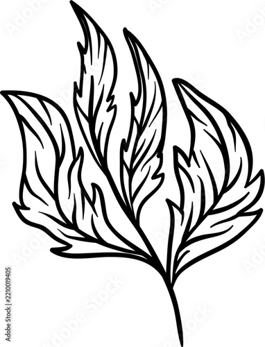 Outline Handdrawn Botanical Foliage Plant Leaf Branch Nature Illustration Clipart