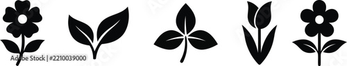 Flower Icons Set with Leaves and Stems, Minimalist Botanical Illustration Featuring Leaf, Stem