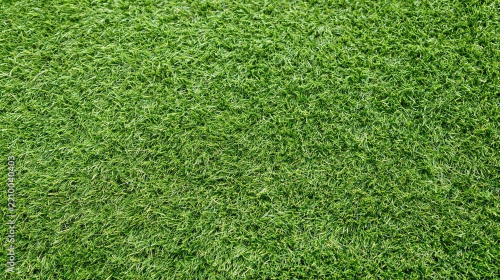 Obraz premium Overhead view of closely mown green grass surface filling the frame