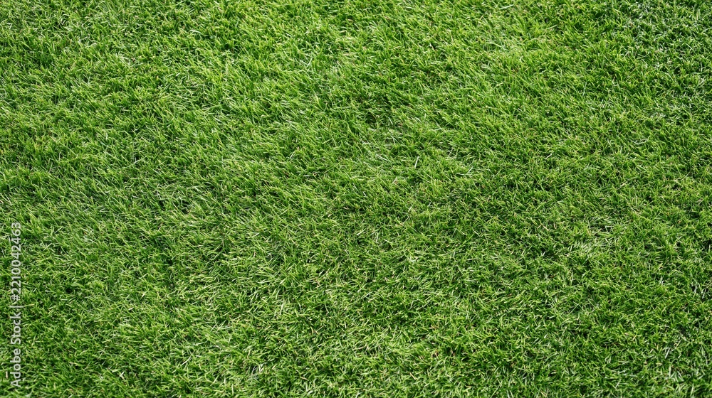 Obraz premium Overhead view of closely mown green grass covering the entire frame