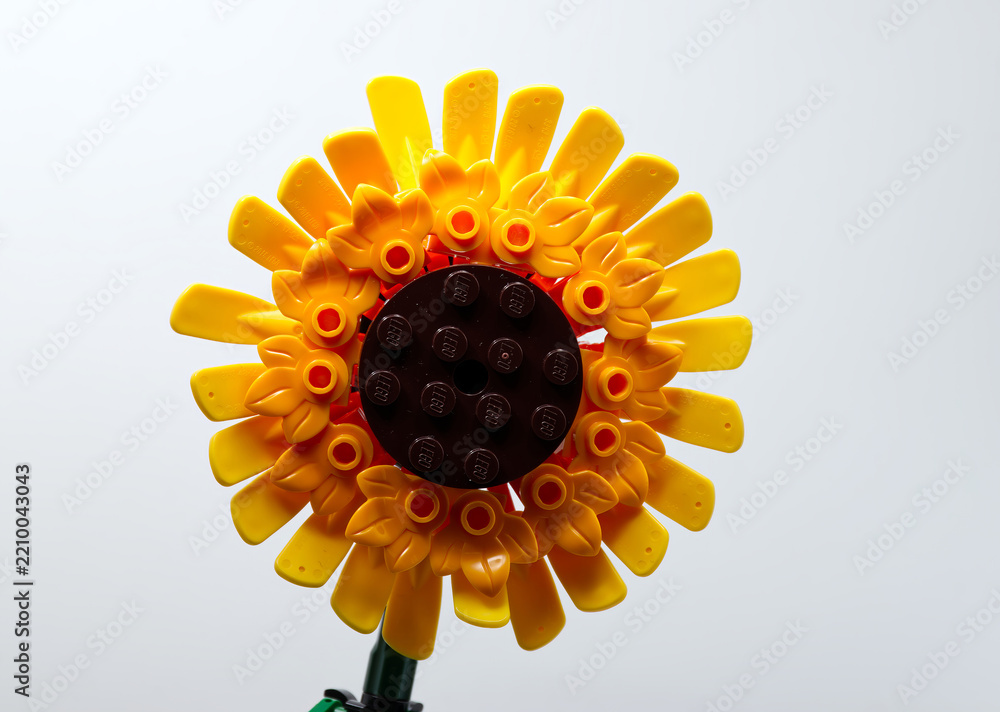 Naklejka premium Bologna - Italy - September 29, 2026: Lego sunflowers built from plastic construction bricks isolated on white