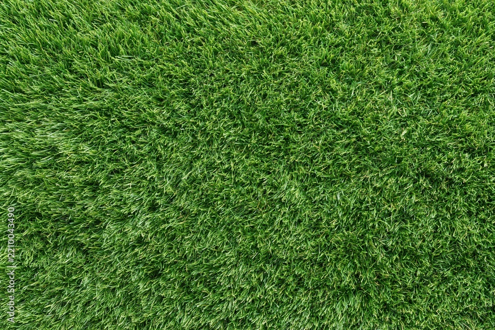 Fototapeta premium The Grass Closeup Lush Emerald Blades Forming a Dense Natural Carpet