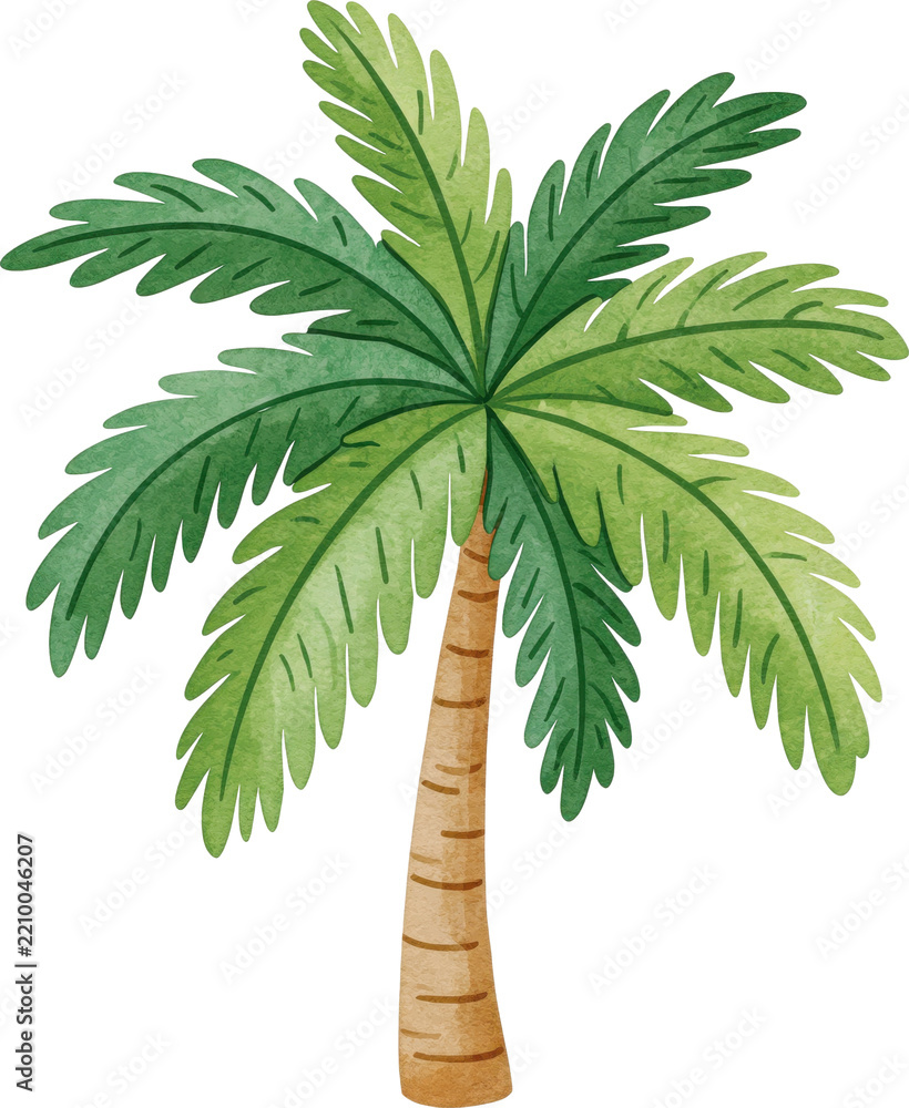 Obraz premium Watercolor tropical palm tree illustration isolated on transparent background.
