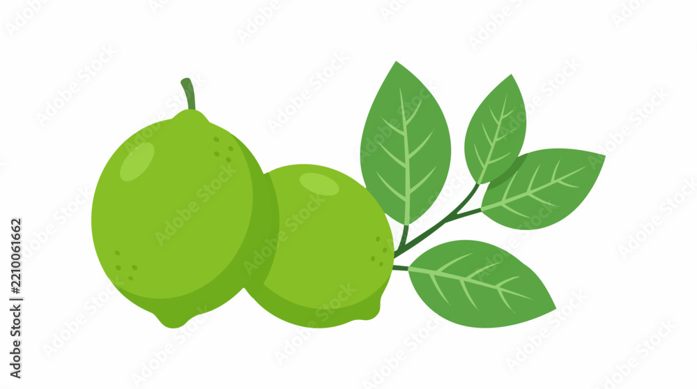 Fototapeta premium Flat vector illustration of fresh cute organic green limes with green leaves isolated on white background for food and drink design