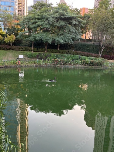Obraz na plátně Parks and Ponds in the City