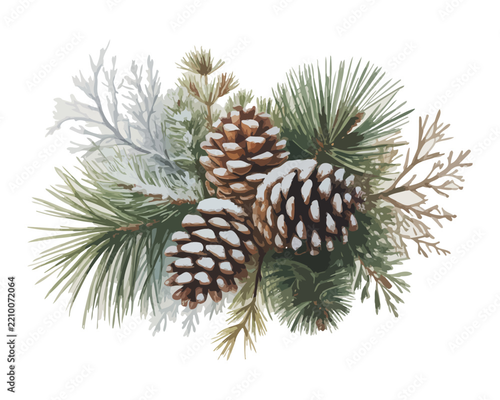 Fototapeta premium Watercolor Pine Cone with Snow, Rustic Winter Nature Illustration, Vector Illustration Isolated on White Background