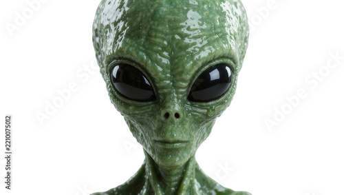 Green alien head with large black eyes detailed skin texture, isolated on transparent background
