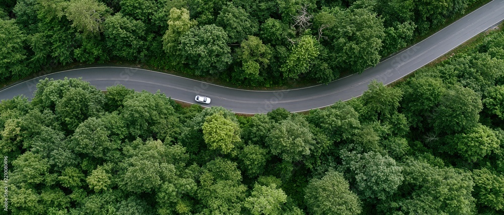 Obraz premium Aerial view of a winding road through dense green forest with a white car driving along it