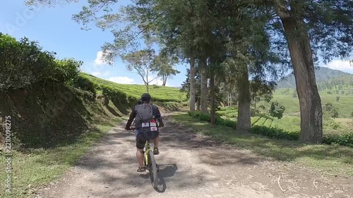 Cyclists Riding Bicycles on a Gravel Road Passing Through Vast Green Tea Plantations on a Sunny Day