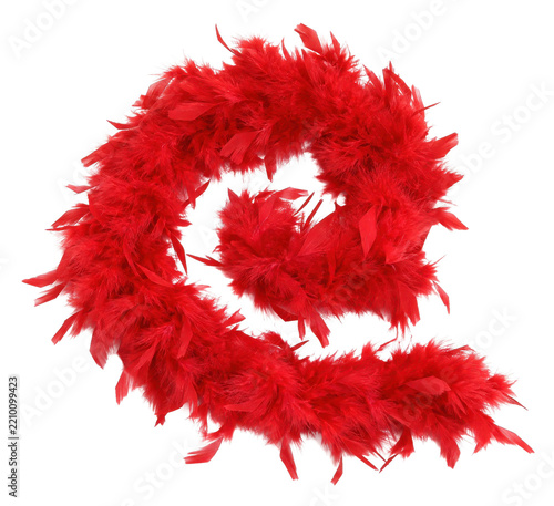 Vibrant red feather boa, elegantly curled into a decorative shape, stands out brightly against a clean white background