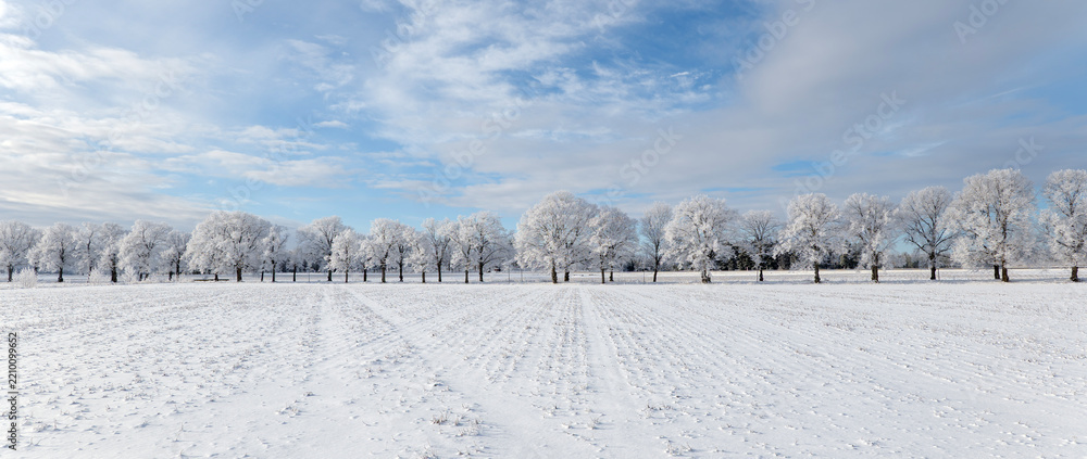 Fototapeta premium Misty morning landscape iwith snow and frost