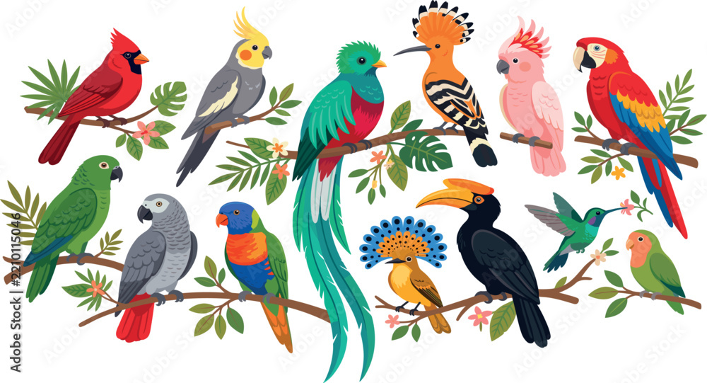 Obraz premium Tropical and exotic birds flat vector set. Parrot, macaw, toucan, cardinal, hummingbird, cockatoo, lovebird, quetzal, hoopoe and colorful wild birds perched on tree branches.