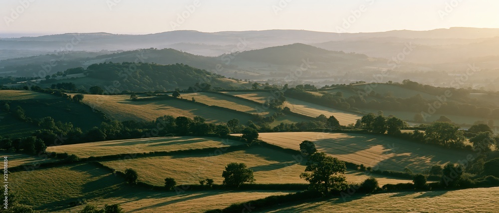 Obraz premium Rolling hills and fields of the english countryside at golden hour