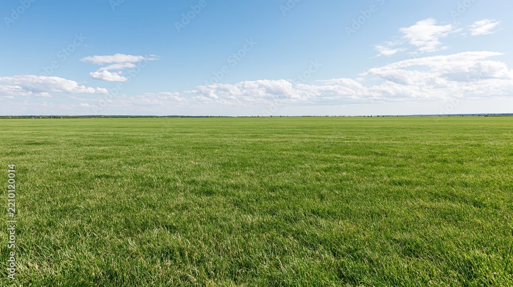 Obraz premium Wide open grass field stretching to the horizon under a blue sky with scattered clouds