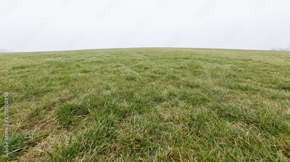 Obraz premium Wide low-angle view of a flat grass field stretching to the horizon under an overcast sky