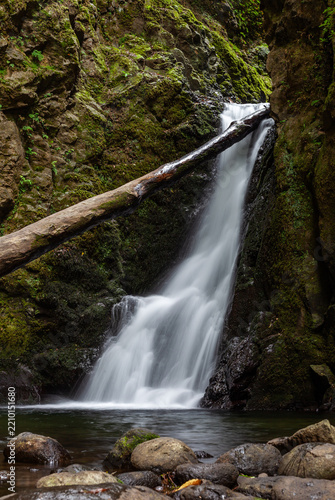 Waterfall in forest. Long exposure shows flowing water. A fallen log crosses the cascade.