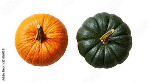 Bright orange and dark green pumpkins with textured rinds and woody stems