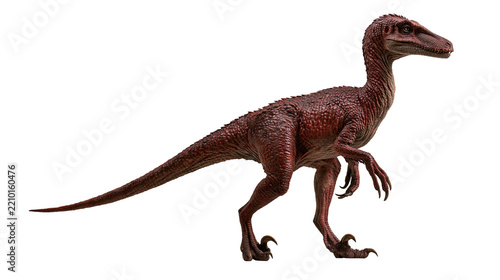Obraz na plátně Reddish brown Velociraptor dinosaur model with textured skin and sharp claws