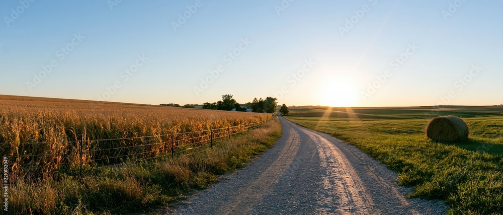 Obraz premium Gravel road winding through cornfield and pasture at sunset