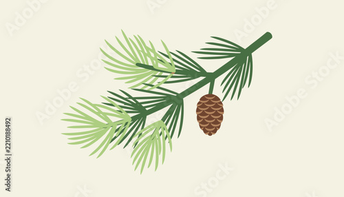 Evergreen pine branch with green needles and a single brown pinecone isolated on a neutral light colored background.