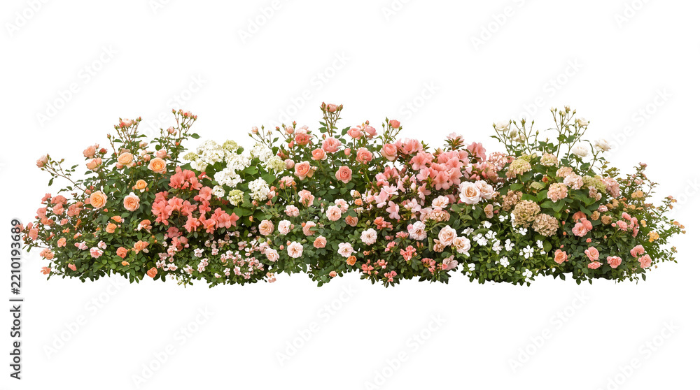 Fototapeta premium Elegant Pink and Peach Rose Garden Border Arrangement Isolated on Black Background for Floral Landscape Design, Wedding Invitation Decor, and Horizontal Decorative Footer Graphic.