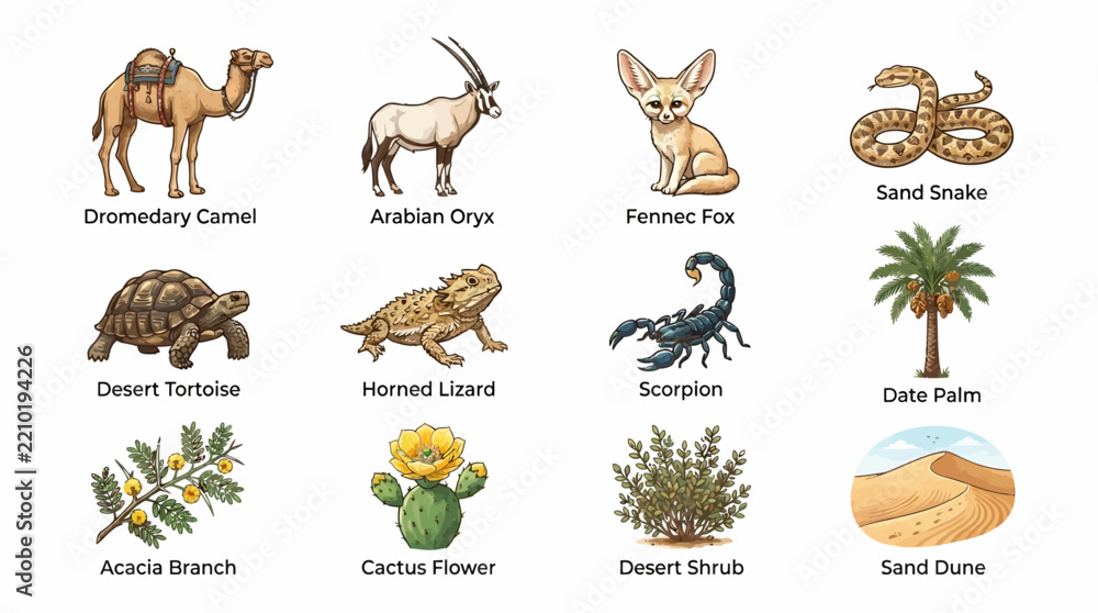 Obraz premium Illustration set of desert animals and plants with labels, featuring camel, oryx, fox, snake, tortoise, lizard, scorpion, palm, acacia, cactus, shrubs, and sand dune, on a white background.