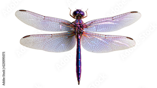 Iridescent purple and blue dragonfly with delicate veined wings