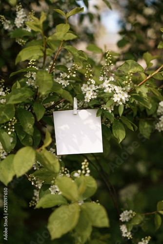 Small white card among flowers, nature mock-up, with space for text and message, dreamy whimsical aesthetic