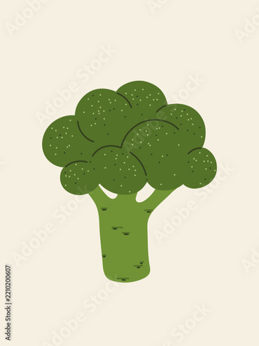 Fresh green broccoli. Simple vector illustration isolated in a flat style.