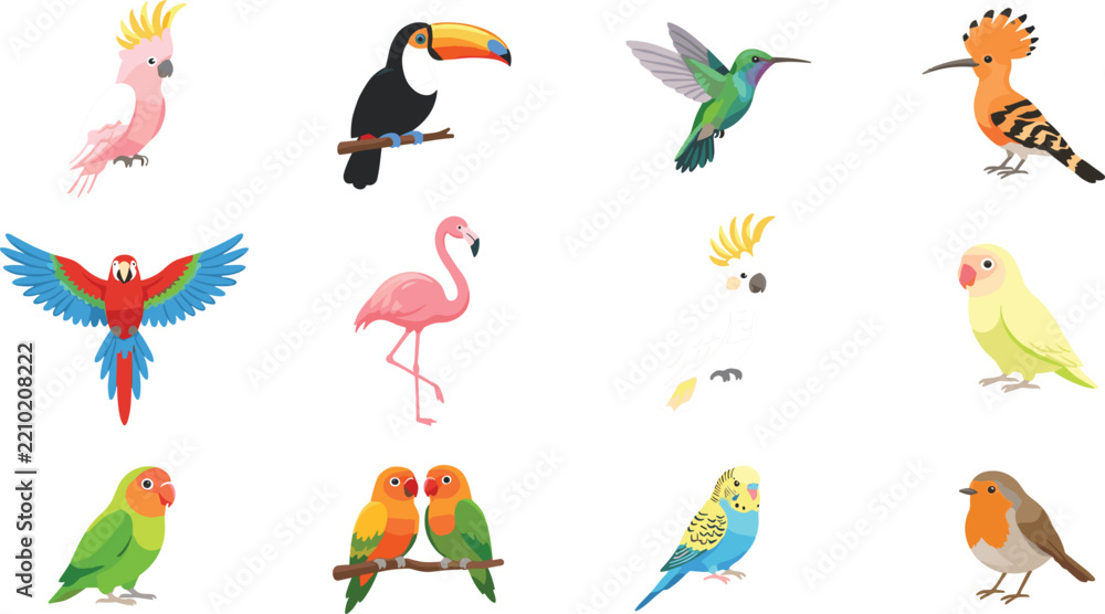 Fototapeta premium Colorful tropical exotic and domestic birds collection featuring parrots flamingo toucan hummingbird and budgerigar cartoon illustrations set