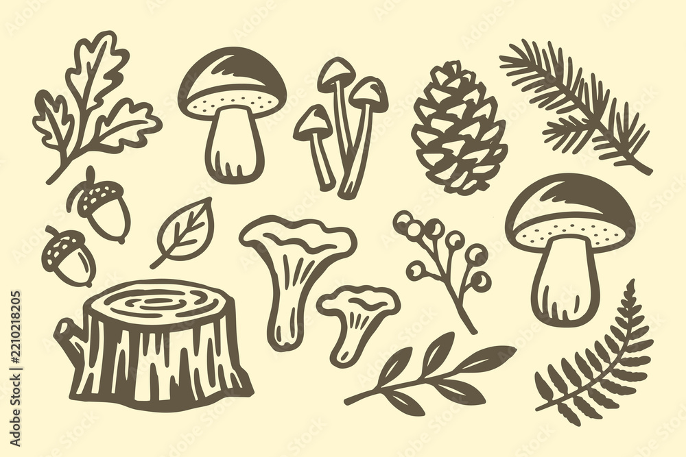 Obraz premium Forest Mushrooms and Woodland Plants Hand Drawn Doodle Set