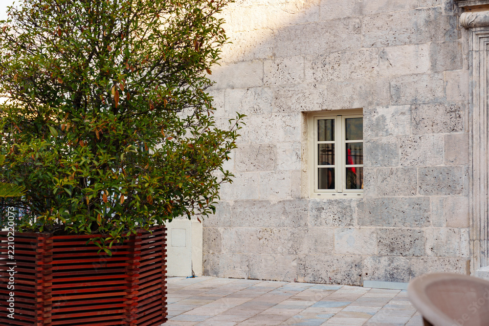 Obraz premium Building wall with a window and a plant in a wooden pot in an outdoor area