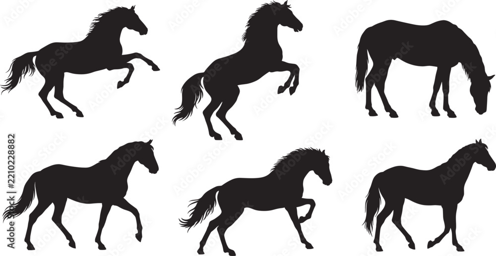 Fototapeta premium Set of six black horse silhouettes, featuring various poses including rearing, grazing, walking, and trotting, isolated on a white background