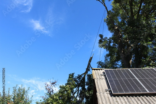 Tree removal service protecting green energy roof infrastructure during hazardous cutting.